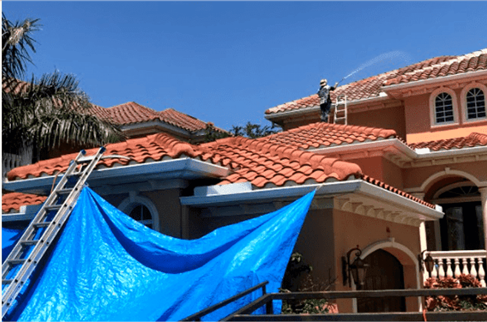 Roof Washing image
