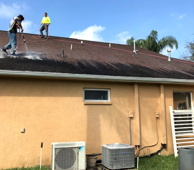 roof cleaning services apollo beach