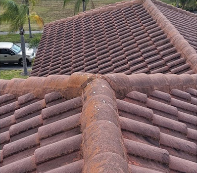 before roof was cleaned in florida