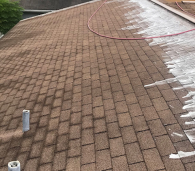 before cleaning roof in tampa bay florida