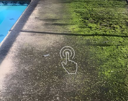 Dirty South Pressure Washing Dirty South Pressure Washing