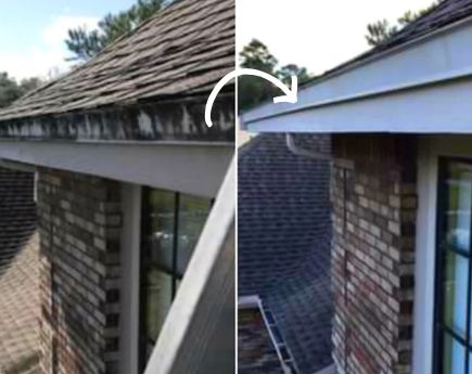 Dirty South Pressure Washing Dirty South Pressure Washing